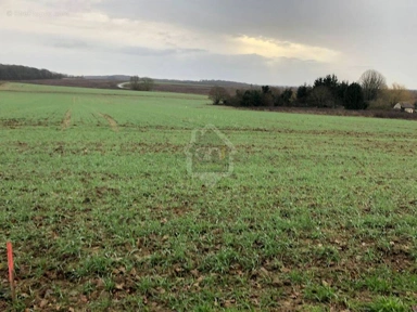 Toutes les photos (1) - Terrain à Bâtir à Emeville avec Jardin