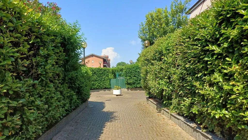 Ground Floor Apartment with Private Garden in Cirie'