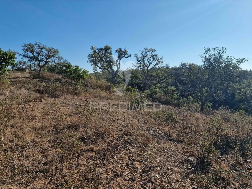 Jardin - Ruin with Construction Potential in São Francisco da Serra
