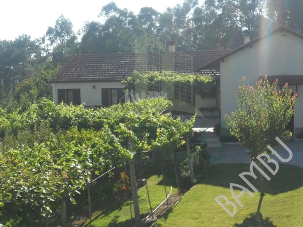 Aed - Luxury Villa with South-Facing Garden in Caminha