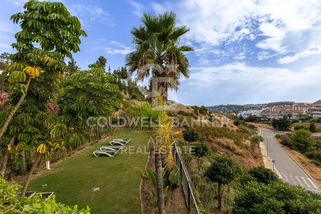 Jardin - Luxury Flat with Pool in Nueva Andalucía