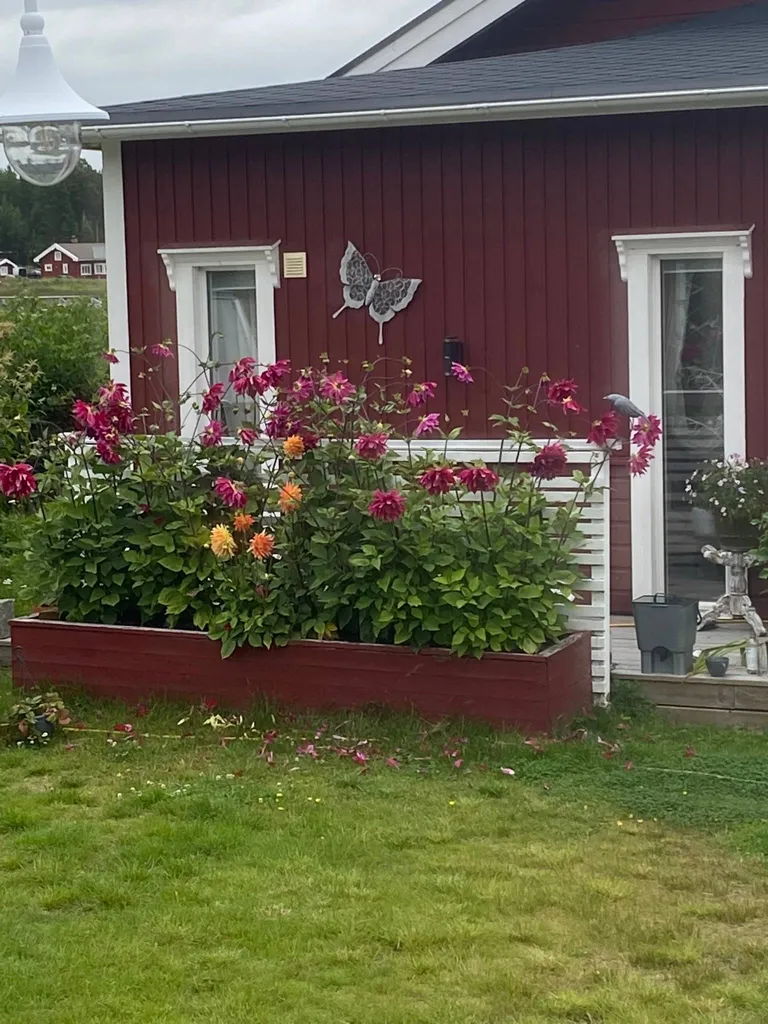 Maison 3 pièces à Skellefteå kommun