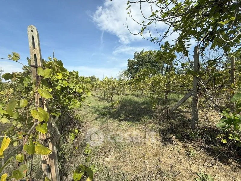 Giardino - Rustic House with Potential in Corridonia