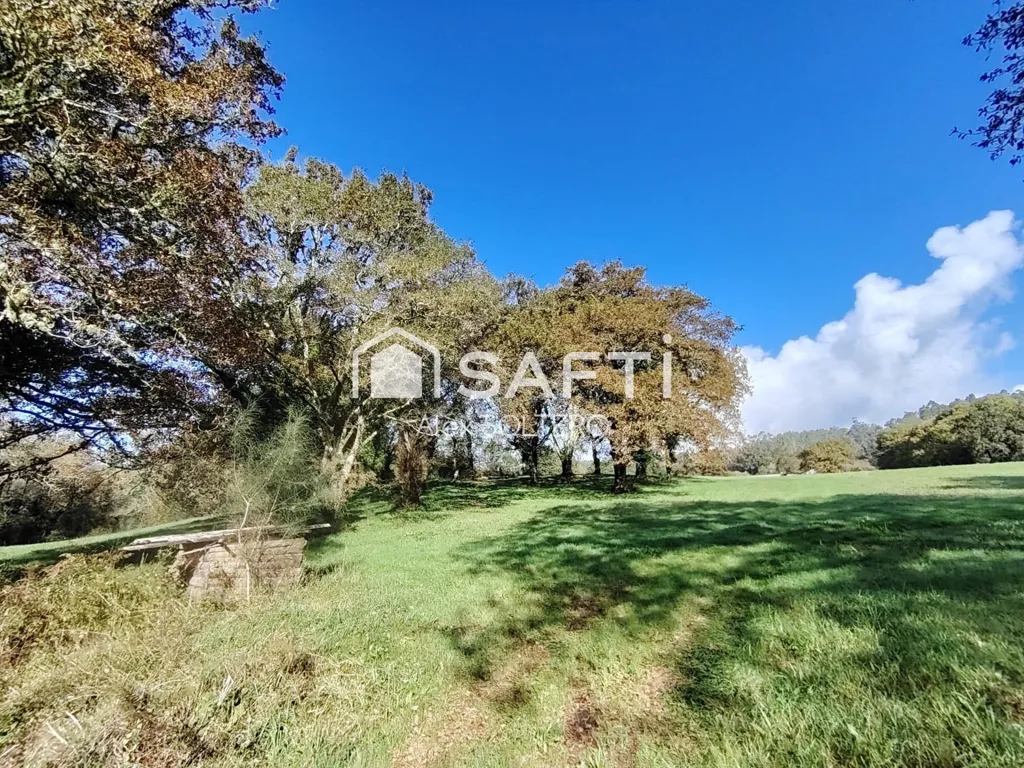 Jardin - Stone House with Large Plot in Negreira