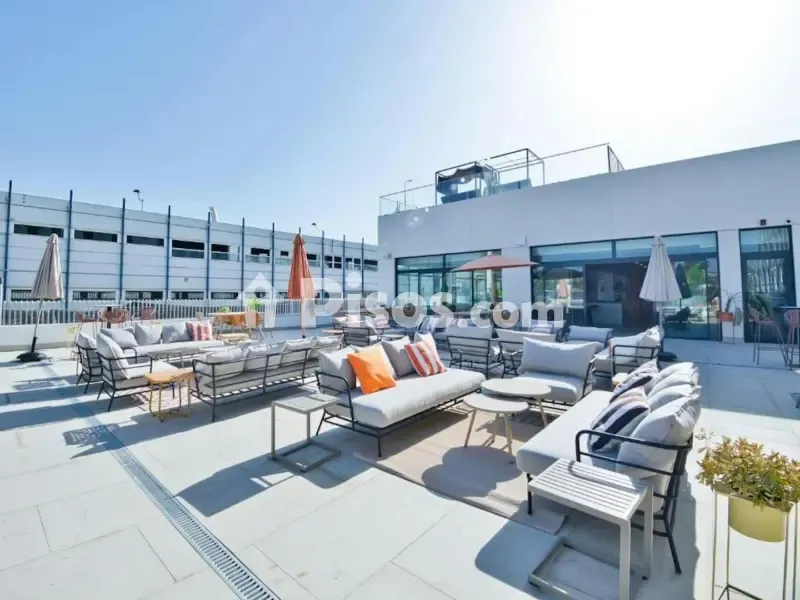 Terrazza - Student Accommodation with Pools in Triana-Cartuja