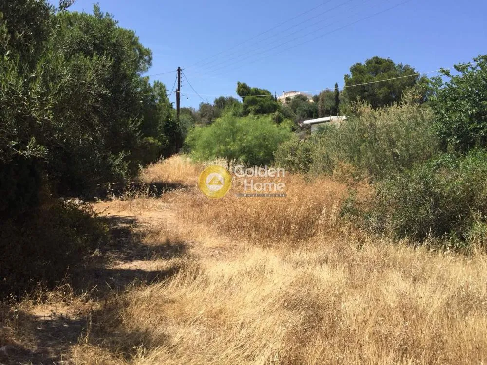 Giardino - Villa with Garden in Eastern Attica
