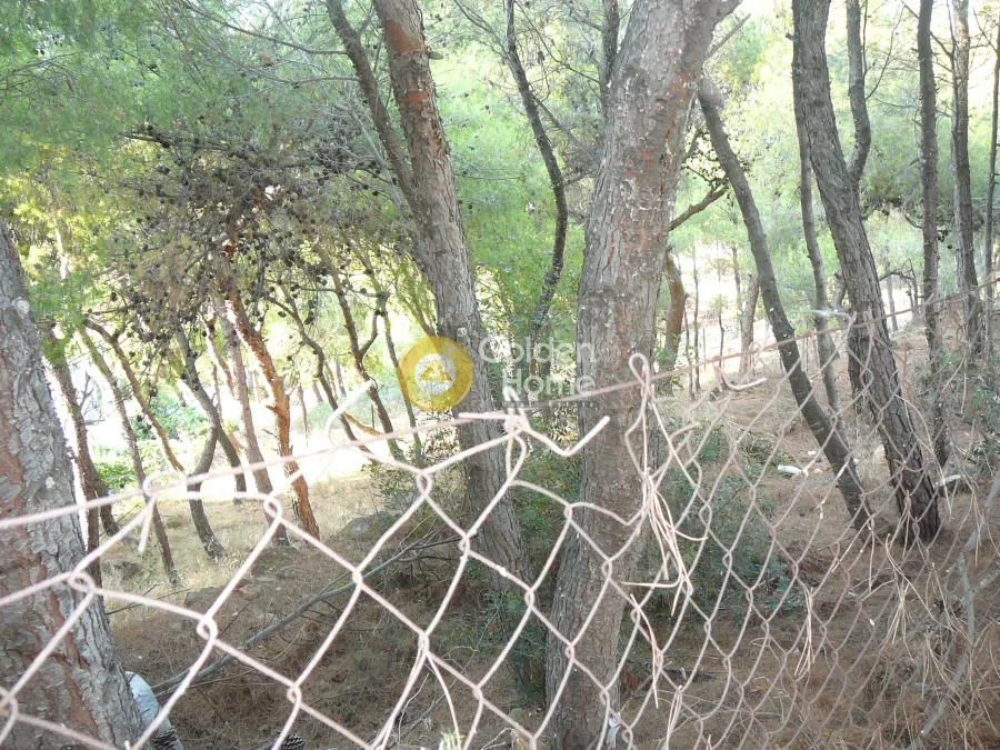 Aed - Buildable Plot with Forest View in Kallithea