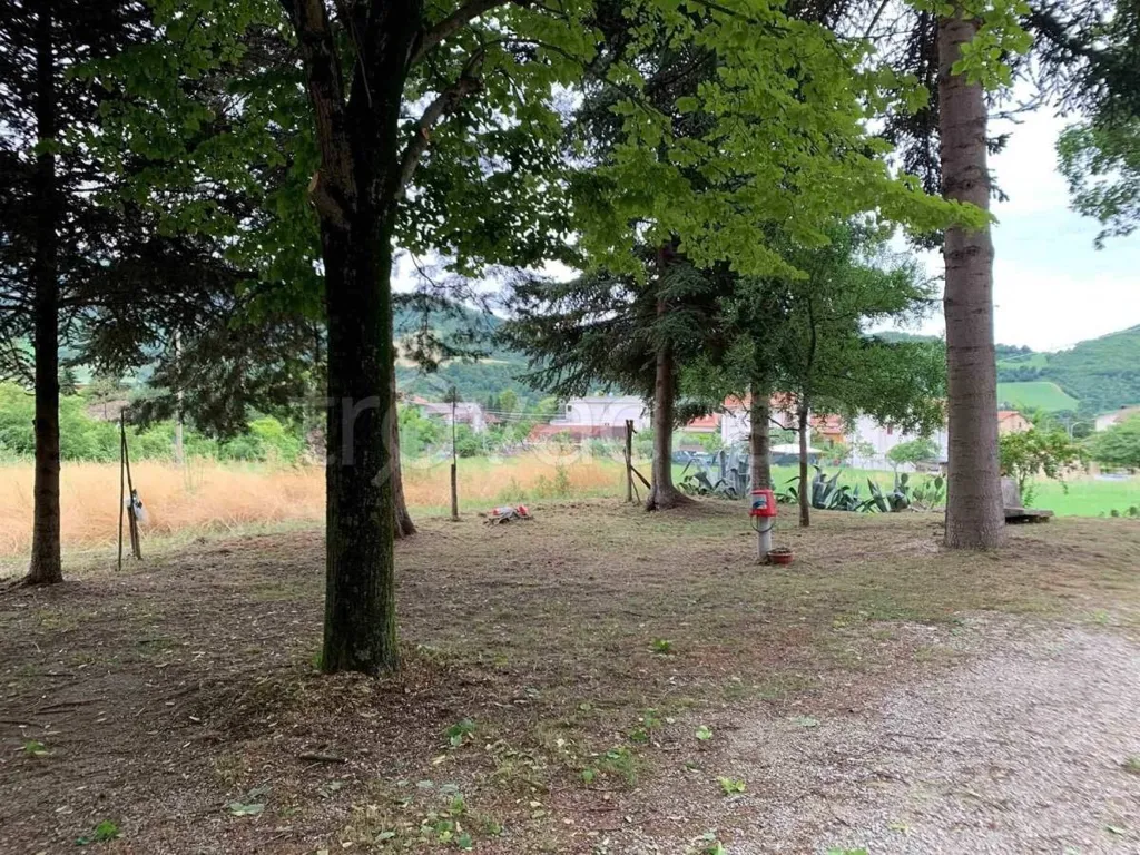 Jardin - Spacious Apartment with Terraces in Urbino