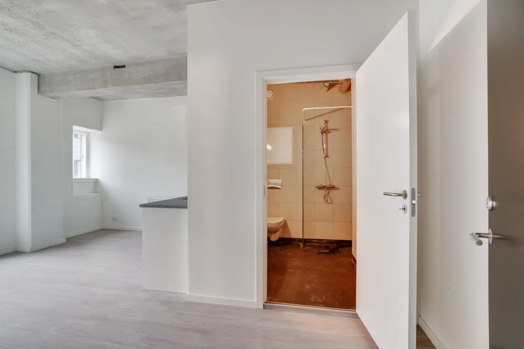 Toad - 1-Bedroom Flat with Kitchen/Bathroom in Central Odense