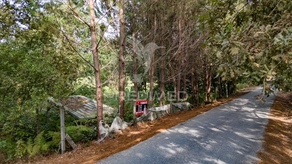Jardin - Agricultural Land with Construction Viability in Lage