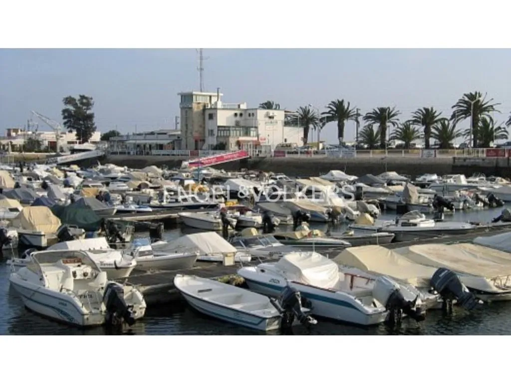 Luxury Villa with Terrace in Faro