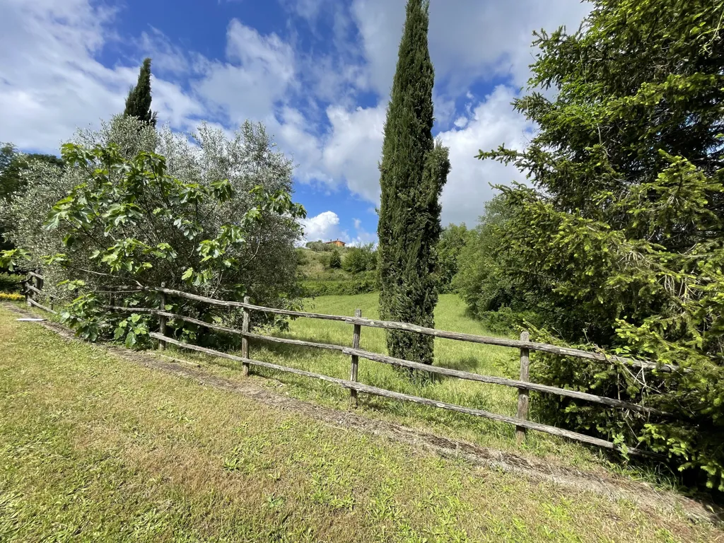 Jardin - Villa with Private Park in Campagnano di Roma