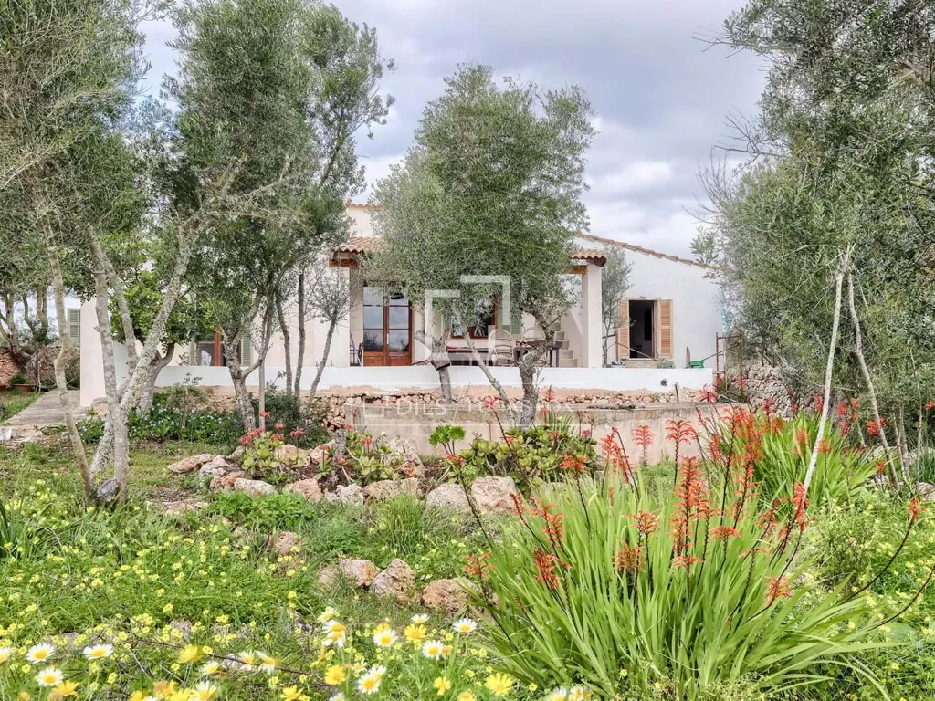 Extérieur - Historic Estate with Equestrian Potential in Llucmajor