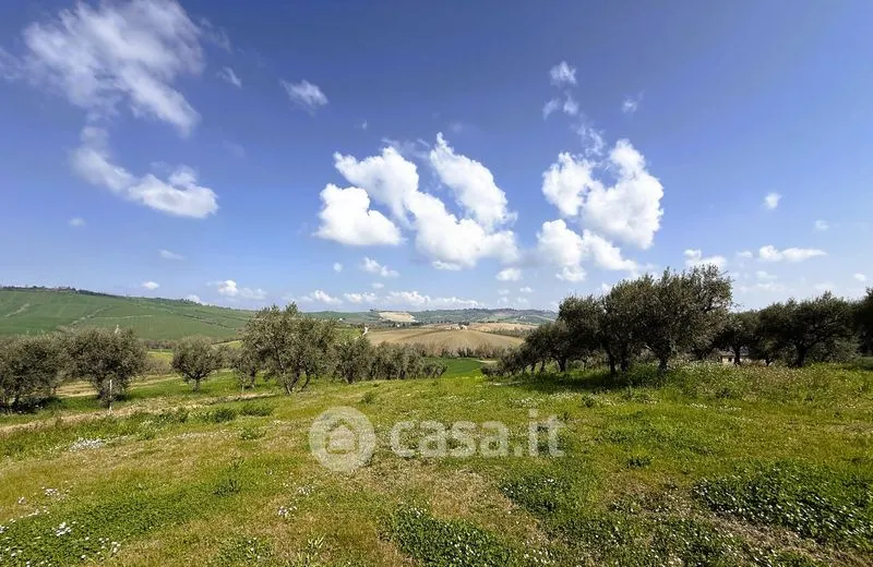 Garden - Rustic Farmhouse with Garden in Loro Piceno