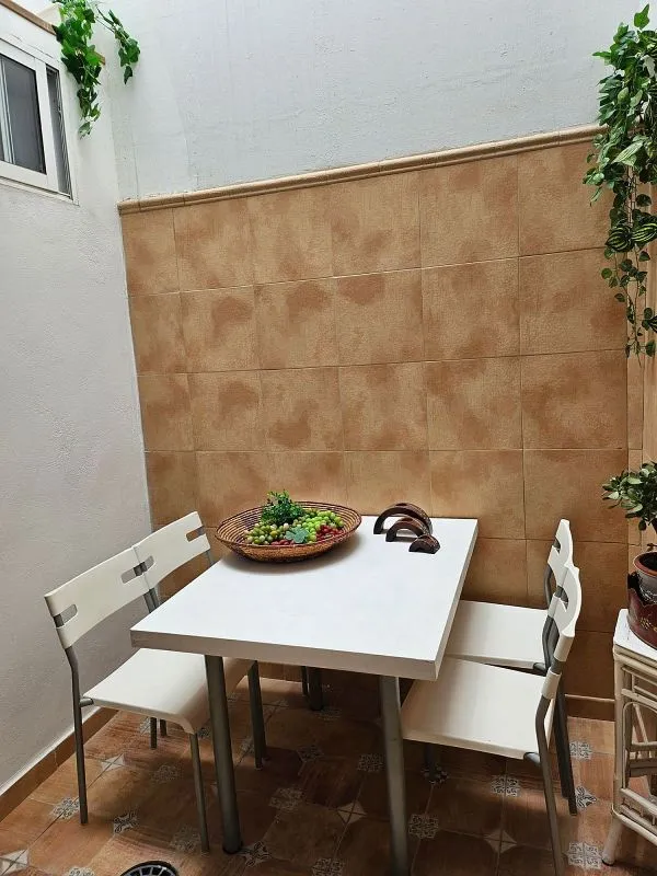 Jardin - Furnished Flat with Terrace in Tomás Morales
