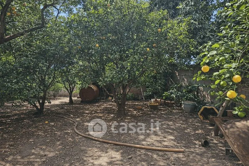Garden - Independent House with Garden in Terralba