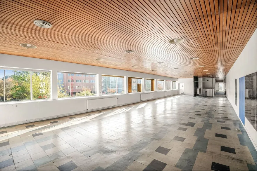Toad - Studio with Dance/Yoga Space in Omøvej
