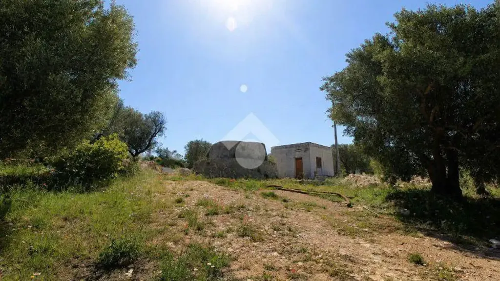 Aed - Rustic Trullo with Panoramic View in Ostuni