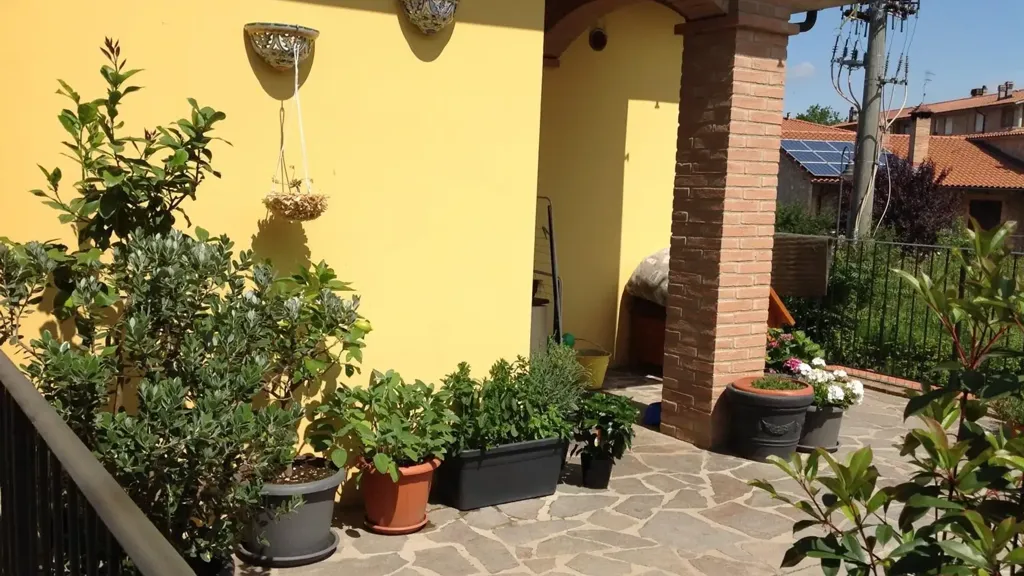 terrace_patio