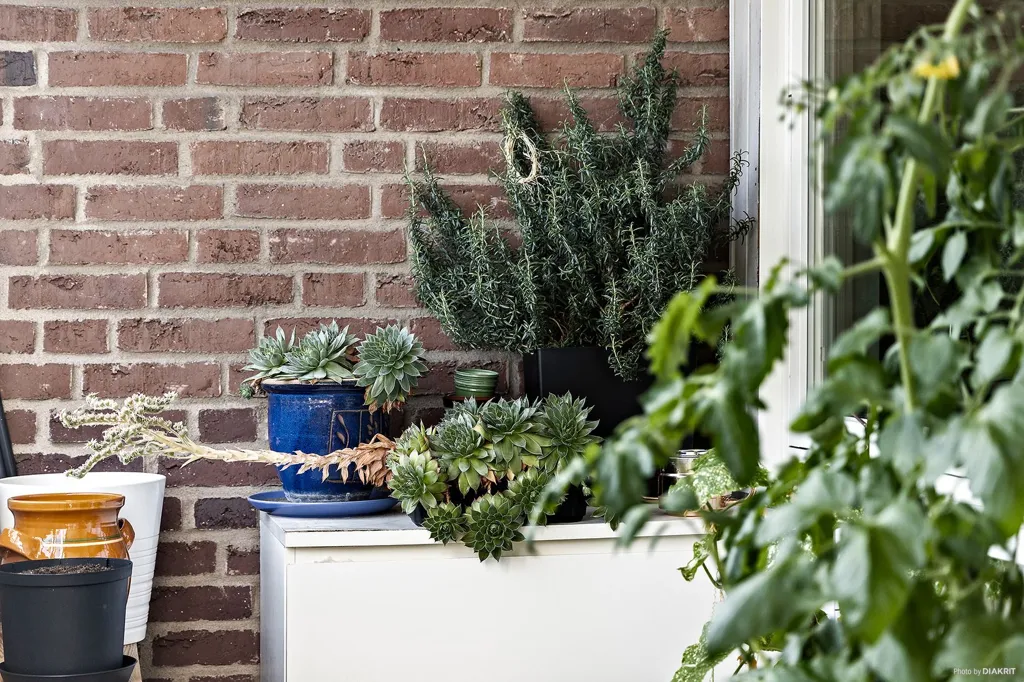Terrass - Apartment with South-Facing Balcony in Helsingborg
