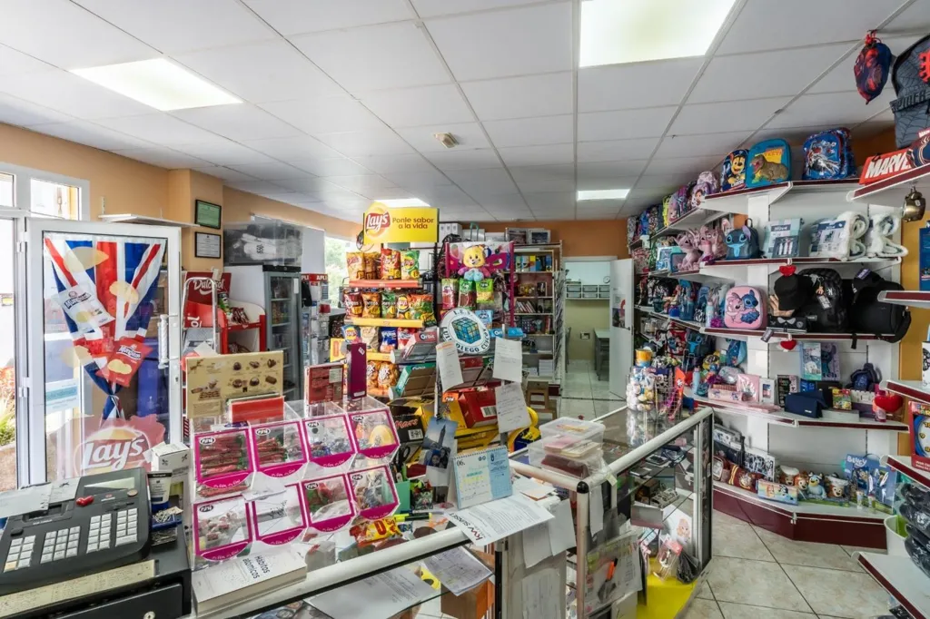 Toad - Established Paper Shop in Cabo Blanco, Arona