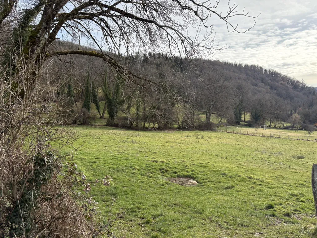 Jardin - Terrain Constructible avec Parcelle Agricole à Cornod