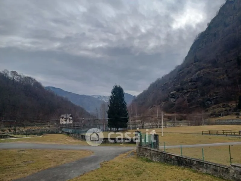 Aed - Walser Rustico with Garden in Issime