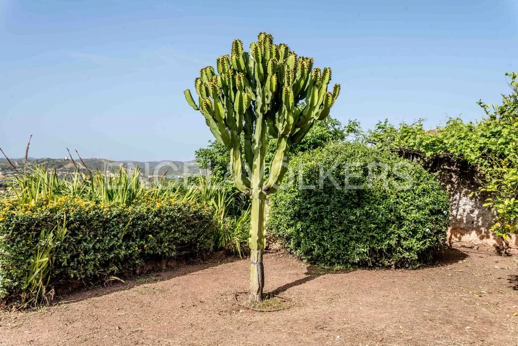 Jardin - Luxury Villa with Garden near Silves Castle