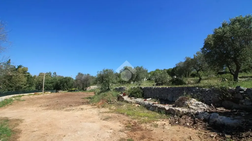 Aed - Rustic Trullo with Panoramic View in Ostuni