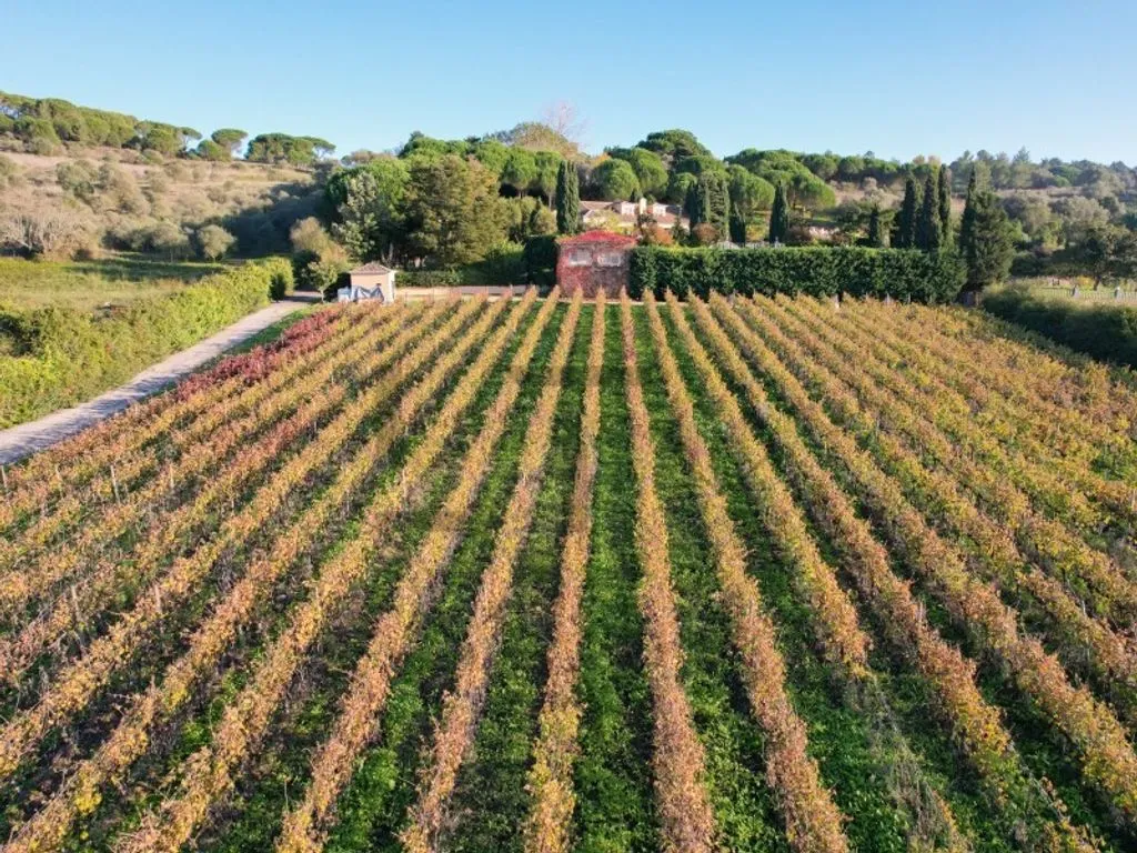 Vue aérienne - Farm with Pool and Vineyard in Azeitao