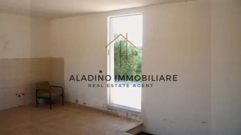Toad - Rustic Villa with Olive Grove in Trani