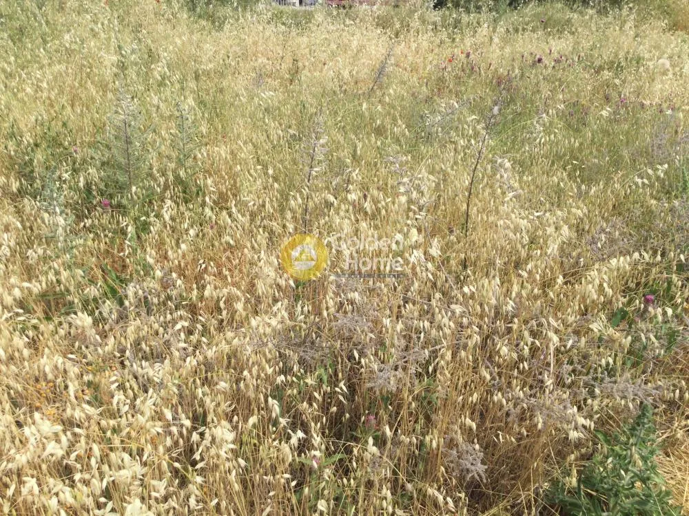 Giardino - Agricultural Plot with Unobstructed View in Thermiakos