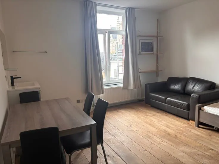 Soggiorno - Student Room with Shared Facilities in Leuven