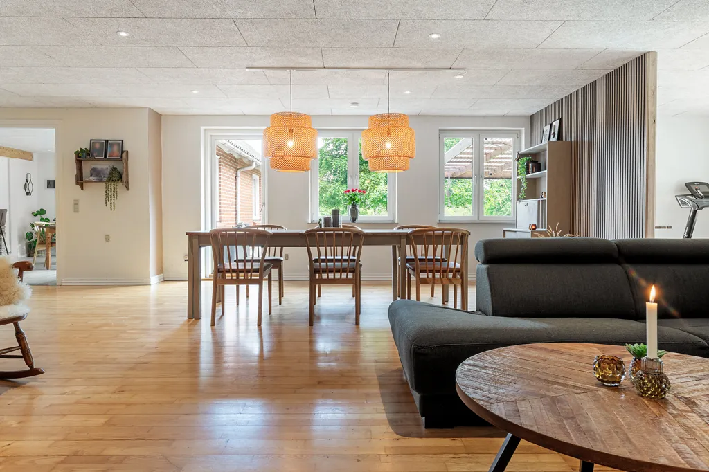 Séjour - Modern Villa with Extensive Land in Sinding