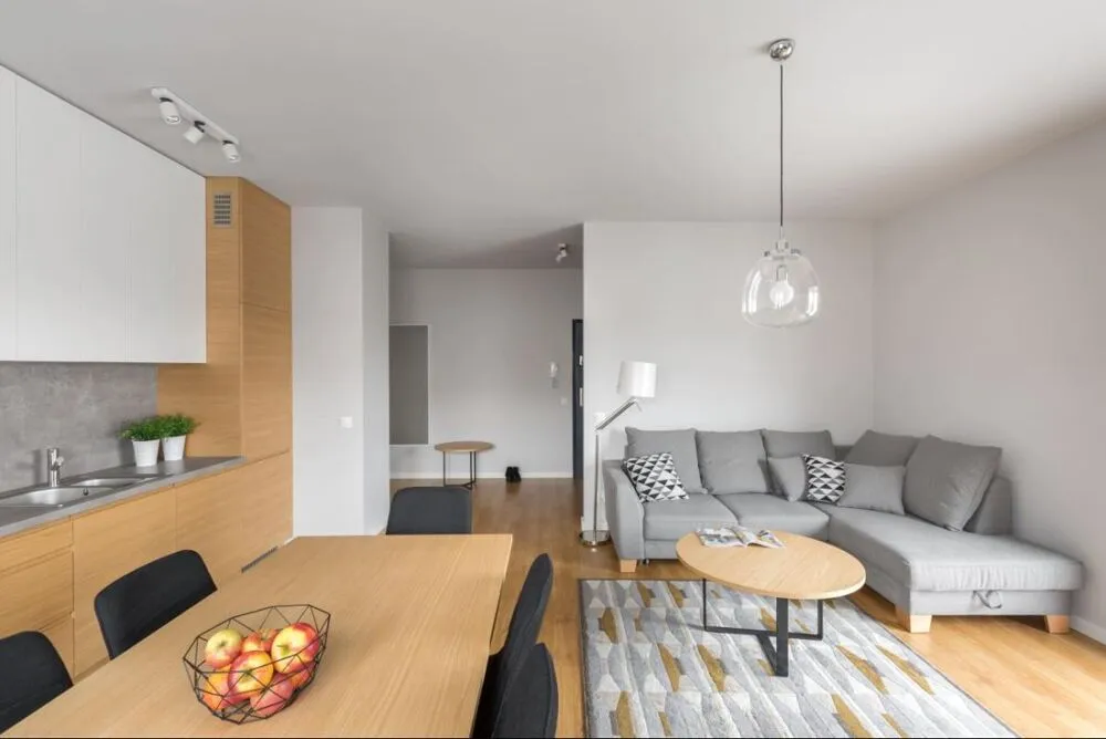 Séjour - Appartement 3 Pièces avec Terrasse à Anglet
