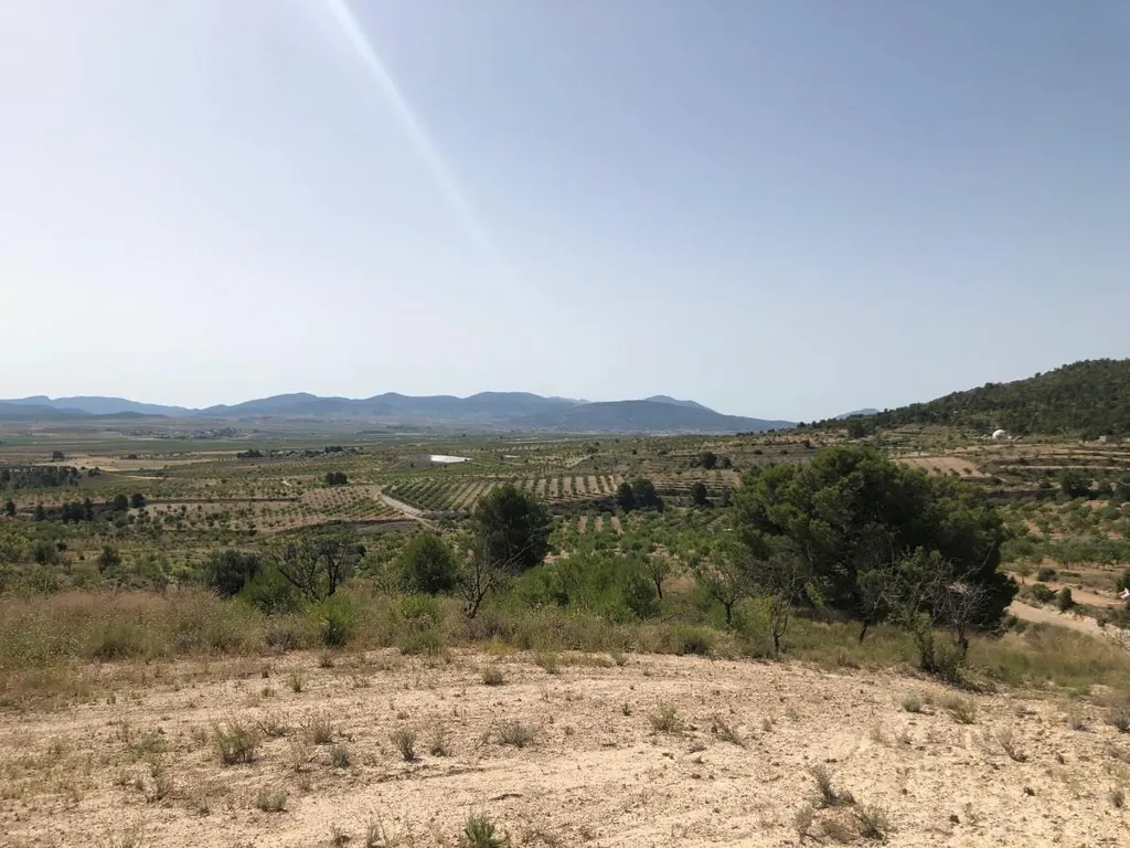 Jardin - Rural Plot with Orchard Views in Yecla