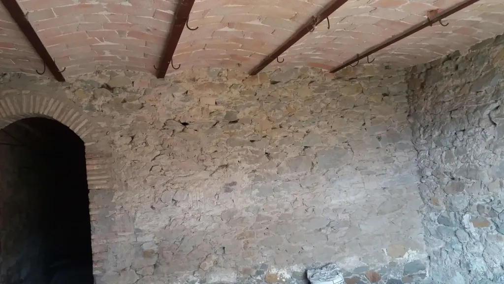 cellar
