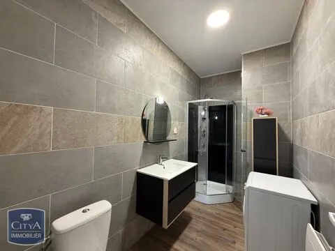 Vannitoad - Charming 3-Bedroom Apartment in Vichy