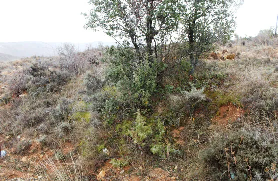 Aed - Large Agricultural Plot in Tordellego, Guadalajara
