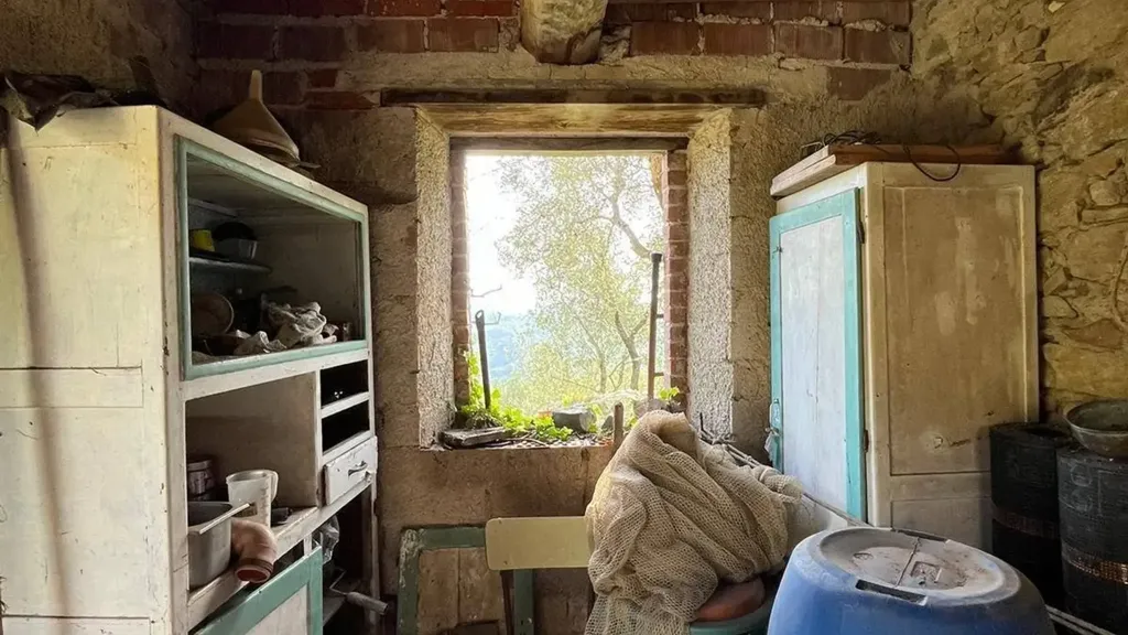 Buanderie - Rustic Property with Olive Grove in Lucca