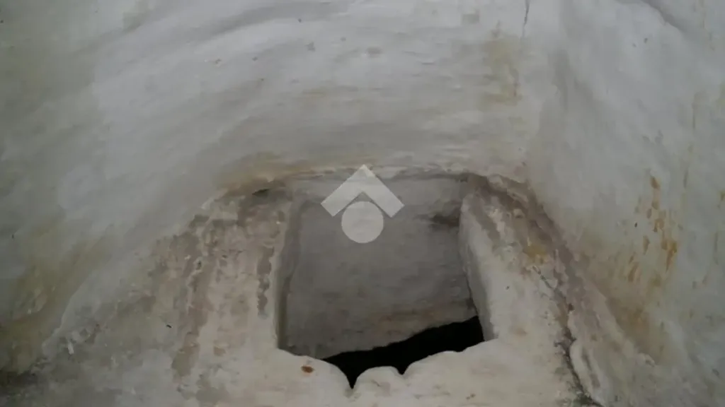 cellar