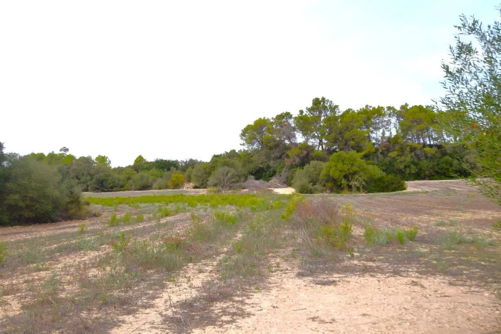 Aed - Rustic Plot with House Project in Muro