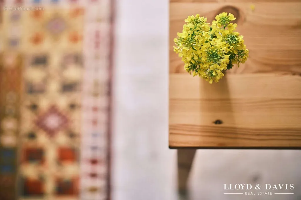 Toad - Luxury Flat with Terrace in Toulouse