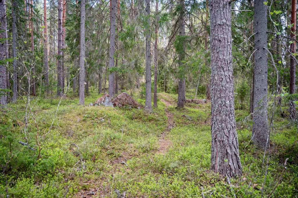 Giardino - Forest Cottage with Eco Heating in Hälledal