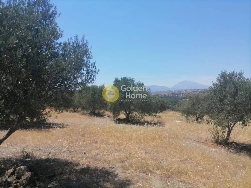 Garden - Buildable Plot with Olive Trees in Phaistos