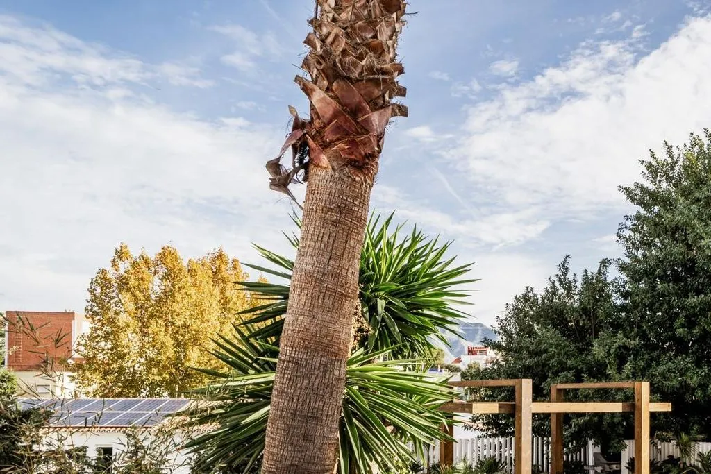 Aed - Luxury Villa with Mountain View in Marbella