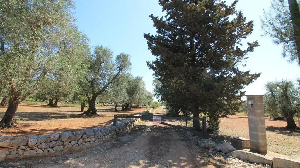 Rustic Cottage with Buildable Land near Ostuni