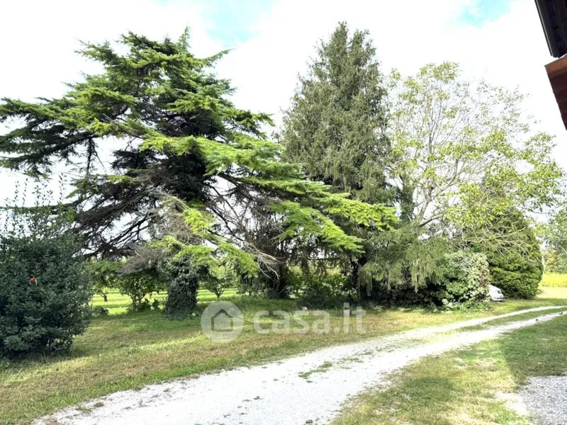Jardin - Rural House with Potential for B&B in Fiumicello