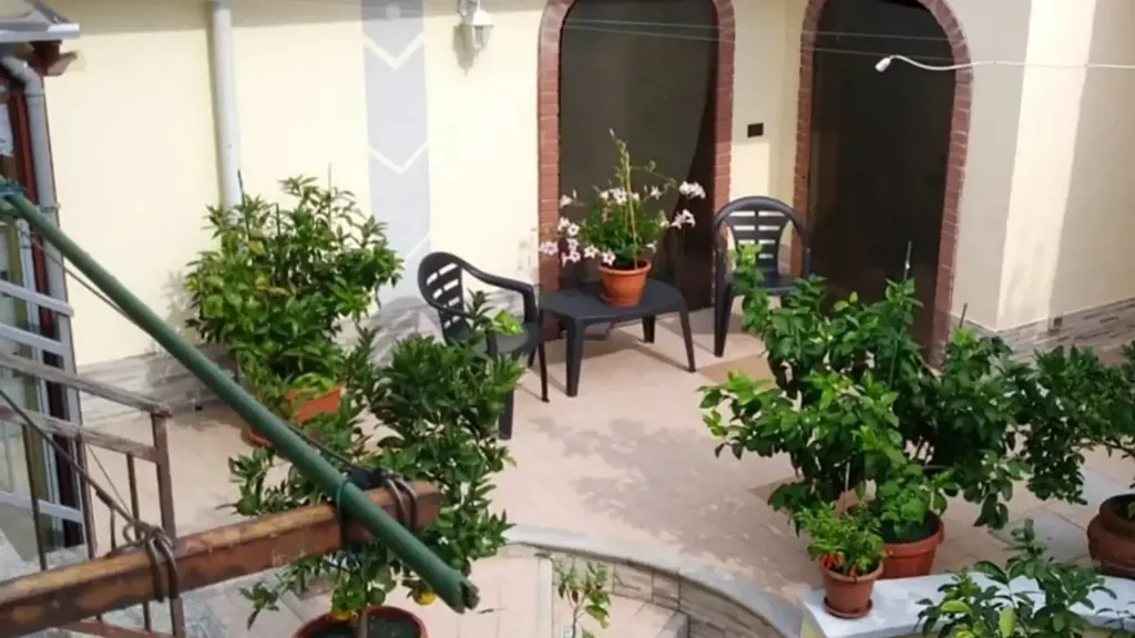 courtyard