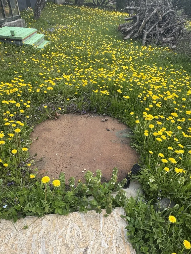Aed - Plot with Villa in Vansi Village, Saue Parish